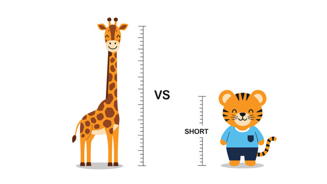 Educational diagram comparing the heights of a very tall giraffe and a much shorter tiger wearing a small blue t shirt.