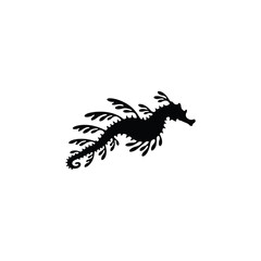 Obraz premium Black silhouette vector illustration of a leafy seadragon isolated on white background