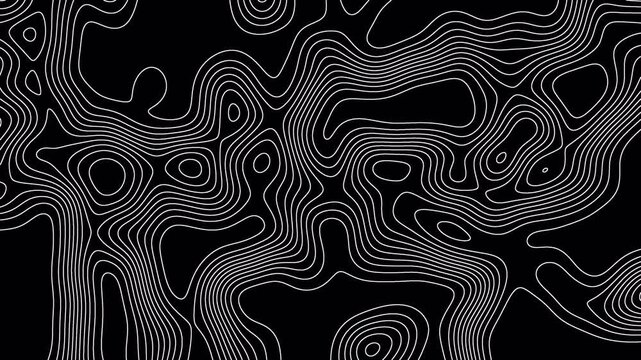 
Abstract Fractal lines background animation. Topographic map contour lines like abstract backdrop on a transparent background, Ideal for presentations, motion graphics 4k video