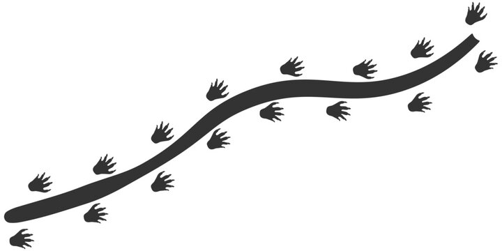 Footprints of Animal, Traces of a Beaver on white background. Beaver silhouette animal tracks. Paw Print. Vector illustration. EPS10.