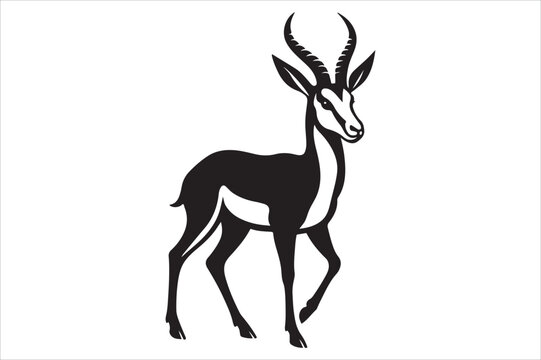 Springbok  vector illustration