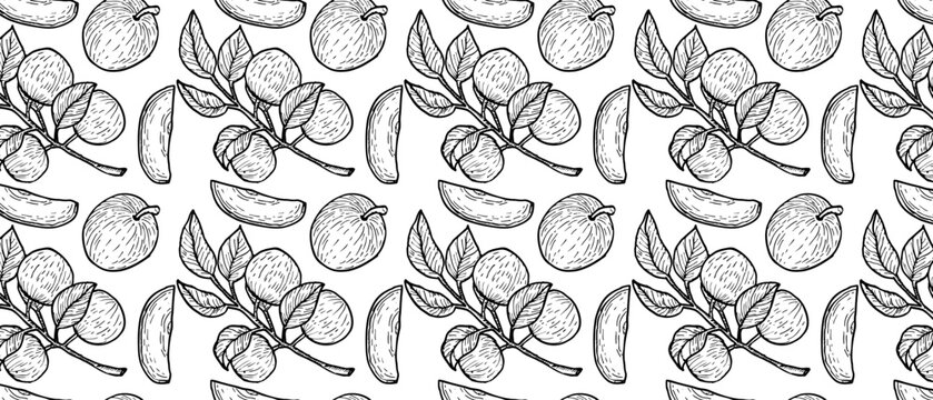 Seamless pattern with star apple, vector illustration. Ink drawing cainito or caimito purple fruits with branches. Monochrome design.
