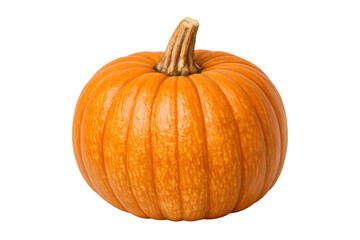 Pumpkin representing autumn harvest, thanksgiving, and halloween concepts, isolated for seasonal designs