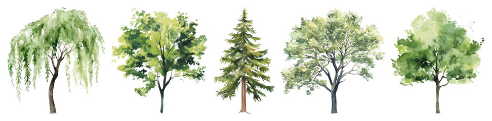 Obraz premium PNG Watercolor trees nature illustration, transparent background