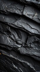 A detailed close-up texture of layered, dark grey metamorphic rock formations.