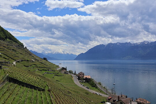 Le Lavaux dans toute sa splendeur 
