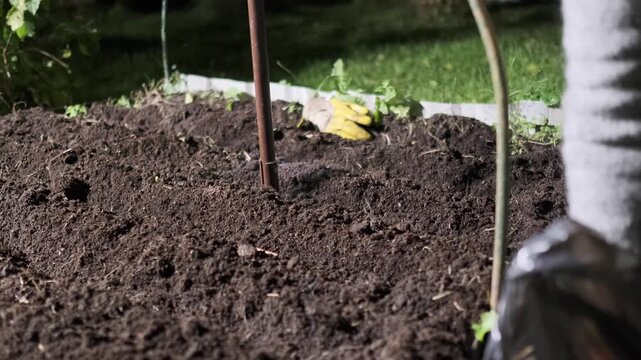 Close-up of senior woman&rsquo;s hands planting garlic in garden
