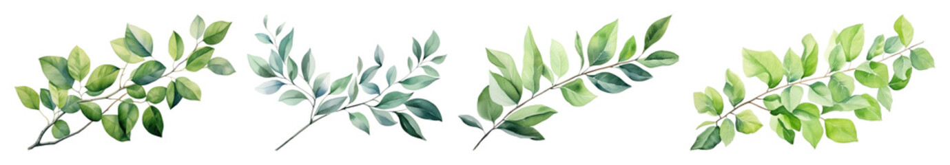 Fototapeta premium PNG Watercolor green leafy branches, transparent background