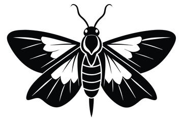 codling moth silhouette line art vector illustration with a white background