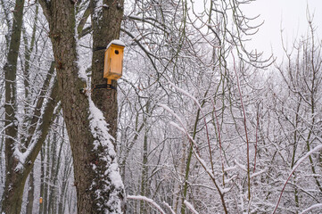 Wooden birdhouse fixed on a snow-covered tree trunk, standing out against a backdrop of bare, frost-dusted branches in a serene forest scene on a cold winter day © Artem