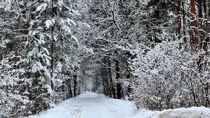 Winter landscape in Poland