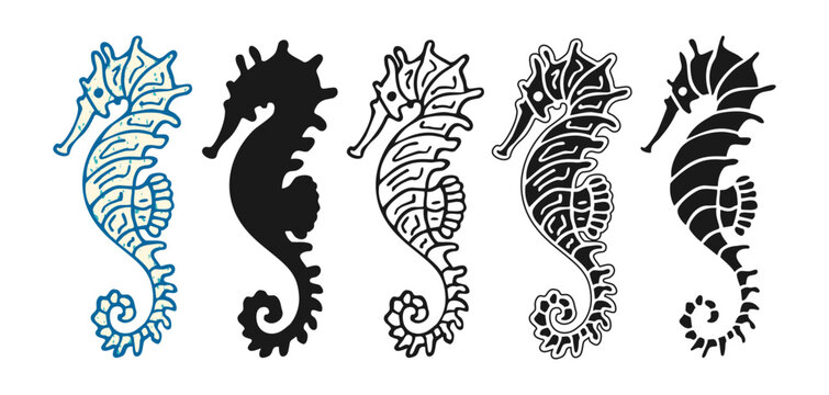 Seahorse underwater animal vector illustration set in hand drawn styles detailed vintage engraving, grunge line art and bold black silhouette. Graceful ocean sea horse underwater marine cartoon mood