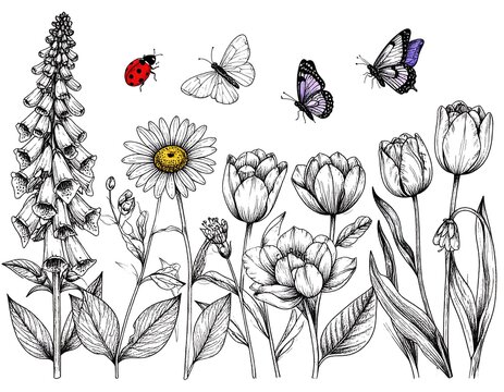 花と蝶」の写真素材 | 2,627,308件の無料イラスト画像 | Adobe Stock