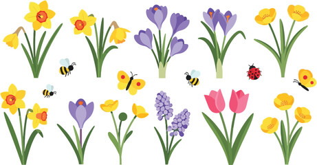 Spring flowers daffodils tulips crocuses bees butterflies ladybug © designershamim8