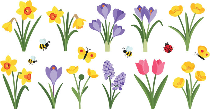 Spring flowers daffodils tulips crocuses bees butterflies ladybug