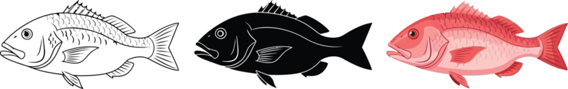 Collection of three fish illustrations including a detailed line drawing a black silhouette and a realistic red snapper isolated on white background for design