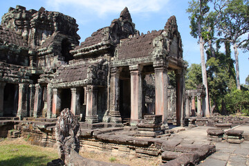 Fototapeta premium ancient ruined hindu and buddhist khmer temple (preah khan) in angkor in siem reap in cambodia