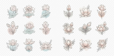 Set of elegant lotus flower illustrations with delicate watercolor textures.