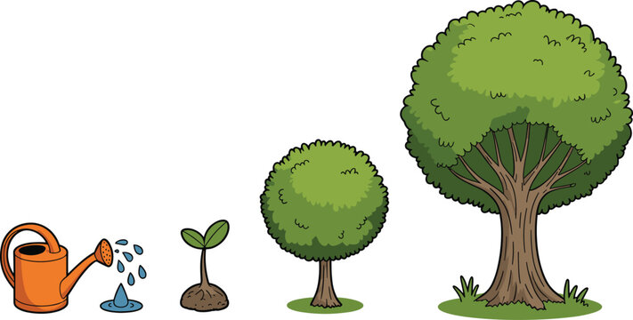 Tree Growth Stages Illustration &ndash; Educational Sequence from Watering to Maturity for Environmental, Botanical, and Developmental Design Use