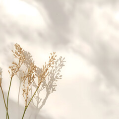 Dried flower background suitable for beauty business ads and relaxation concepts offering calm serene aesthetic with soft shadows on beige wall for copy space