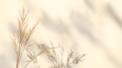 Gentle shadow of dried grass beige background suitable for beauty business relaxation concept creating calm peaceful mood with soft light and warm tone aesthetic style perfect for cosmetic design