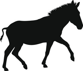 Zebra silhouette, Zebra outline, Zebra shape, Zebra icon, Zebra symbol, Zebra graphic, Zebra animal, Wildlife silhouette