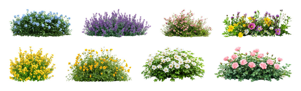 PNG Colorful floral garden arrangement, transparent background