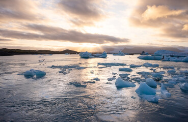 Fototapeta premium Icebergs float in Iceland's glacier lagoon, reflecting the warm colors of sunset. Birds fly above, adding life to the tranquil scene. This location is a must-see for nature enthusiasts.