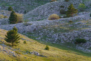 Aerial View The Rugged Rocky