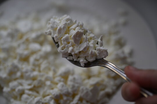 Cottage cheese. Cheese. Healthy food. Food for children. Breakfast. Cheese plate.