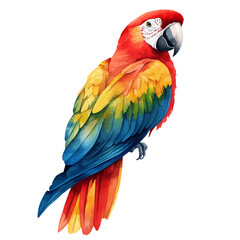 watercolor draw of Parrot, isolated on a white background. © skynora