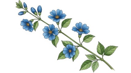 Botanical Illustration of Blue Flowers and Green Leaves on a Branch
