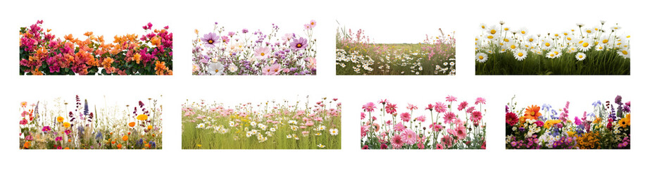 Naklejka premium PNG Vibrant wildflower garden variety, transparent background