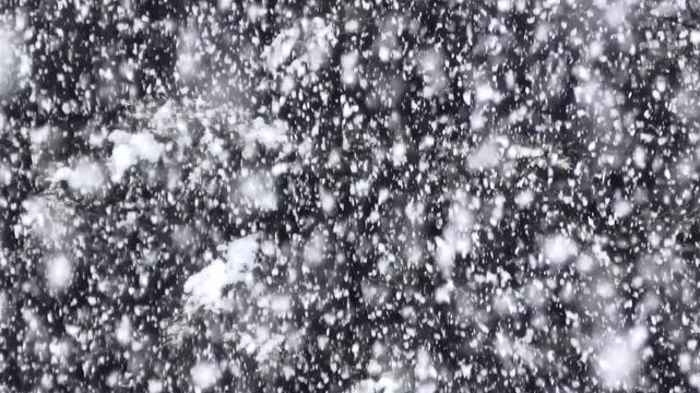 Starker Schneefall im Winter, Wetter, Teleaufnahme