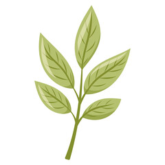Fototapeta premium Eco icon with green leaf