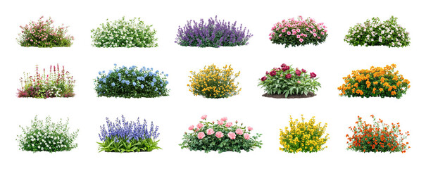 Obraz premium PNG Colorful flower garden arrangements displayed, transparent background