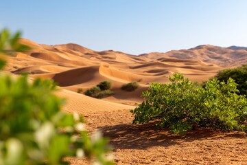 Expansive Desert Landscape with Lush Oasis and Dunes