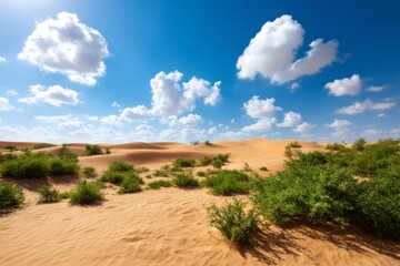 Expansive Desert Landscape with Oasis and Sand Dunes