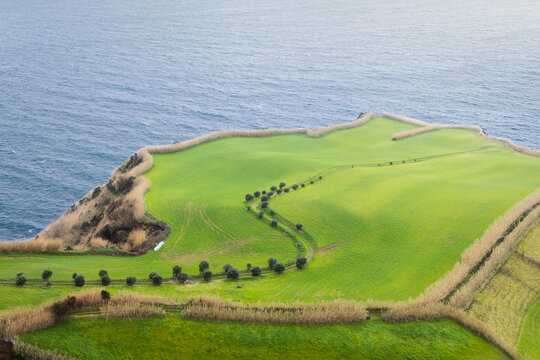 Aerial view of a lush green headland, rimmed with golden reeds, meeting the deep blue sea, S&Atilde;&pound;o Miguel, Coimbra, Portugal.