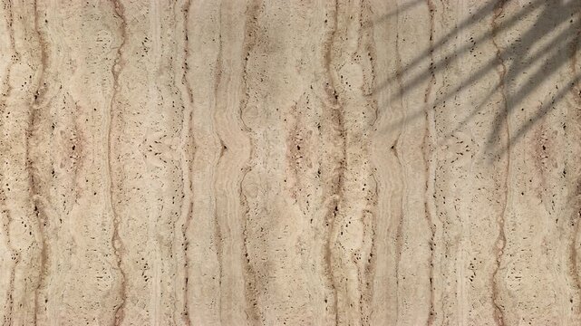 Palm leaves waving gently in wind, shadow on wall travertine limestone background in summer, sunny backdrop