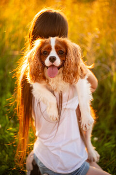Teenage girl spends evening with her pet outside. Woman holds dog tenderly, hugging it and stroking it as sun sets. Owner lovingly holds spaniel in her arms. Pet care concept.