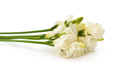 Bouquet of beautiful white freesia flowers.
