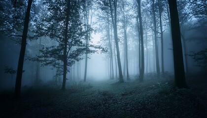 Fototapeta premium misty forest at night