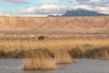 Moapa Valley, Nevada