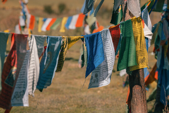 View of colorful prayer flags fluttering against the backdrop of the serene valley, casting vibrant shadows on the golden grass, Phobjikha Valley, Wangdue Phodrang, Bhutan.