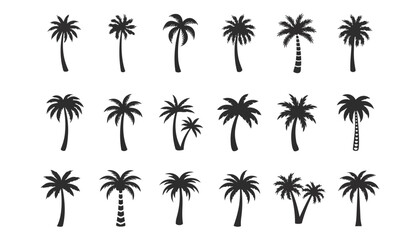 Collection of diverse silhouette palm trees, vector graphics ideal for tropical destinations and summer vacation themes © AdobeRokon