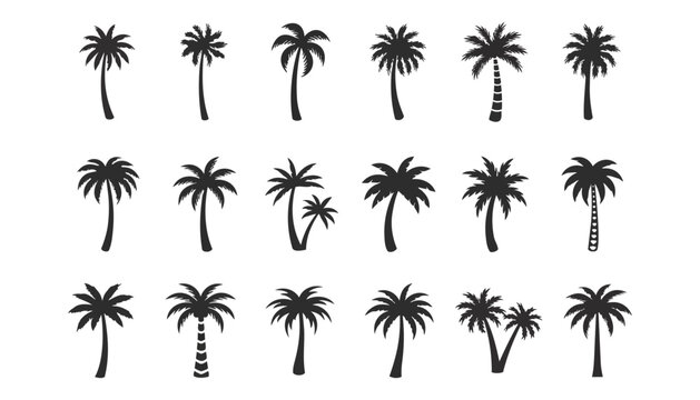 Collection of diverse silhouette palm trees, vector graphics ideal for tropical destinations and summer vacation themes