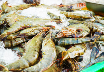 Shrimp on displayed on ice at market stall. Shrimp close-up in seafood market. Fresh shrimp sale at local market. Freh seafood in ice on counter in grocery store. Vendors display variety of shrimp.