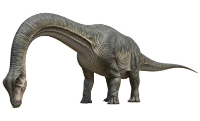Obraz premium Apatosaurus ajax prehistoric dinosaur illustration feeding behavior, isolated on transparent background