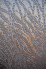 Fototapeta premium Frost creating natural feathery patterns on a window glass, forming intricate frozen ice textures reflecting light in winter, conveying cold climate backdrop